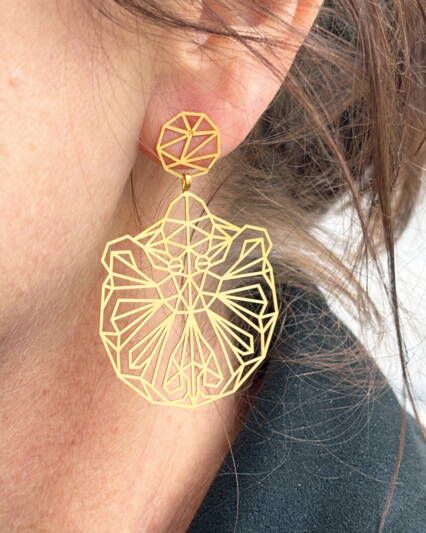 okto_ohr.jpg okto_ohr.jpg